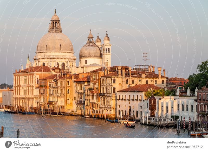 Sonnenaufgang am Canale Grande in Venedig IV Blick Zentralperspektive Starke Tiefenschärfe Morgendämmerung Licht Schatten Kontrast Textfreiraum Mitte