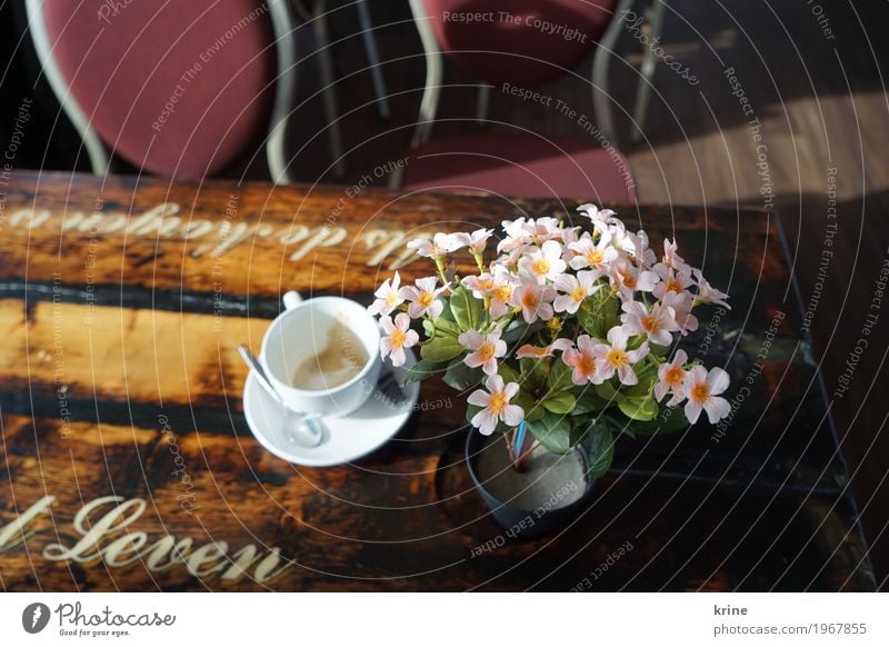 coffee time Kaffee Cappuccino Tasse Ferien & Urlaub & Reisen Ausflug Blühend Originalität rosa Plastikblume künstlich Kunstblume leer Café Niederlande Leben