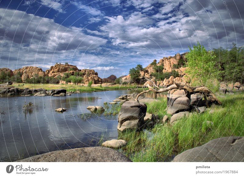 Watson See Erholung Ferien & Urlaub & Reisen Berge u. Gebirge wandern Natur Landschaft Himmel Wolken Unwetter Baum Park Felsen Vogel Stein blau braun Arizona