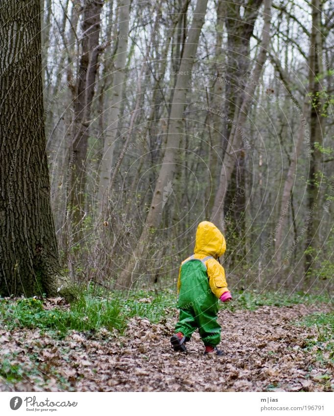 kleiner Waldläufer androgyn Kind Kleinkind Mädchen Junge Kindheit Leben 1 Mensch 1-3 Jahre Umwelt Natur Pflanze Erde Herbst schlechtes Wetter Wind Regen Baum