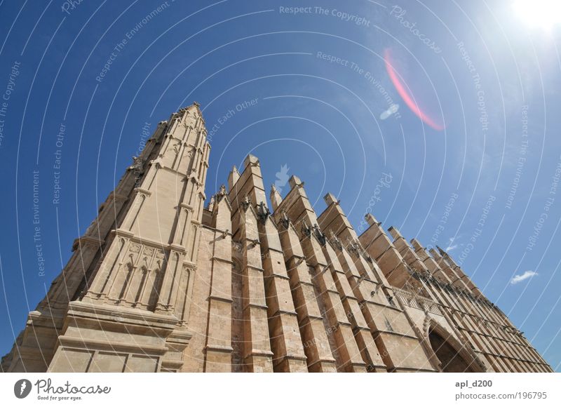 La Seu Ferien & Urlaub & Reisen Tourismus Kunst Palma de Mallorca Haus Kirche Dom Mauer Wand Sehenswürdigkeit Wahrzeichen stehen ästhetisch authentisch