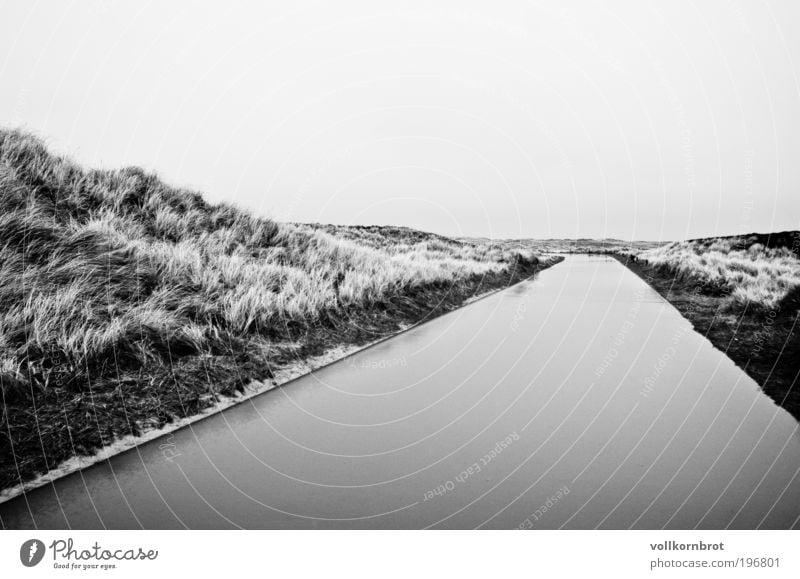 Wasserstraße Natur Landschaft Erde schlechtes Wetter Wind Regen Dünengras Insel Sylt Stranddüne Erholung Unendlichkeit nass schwarz weiß Schwarzweißfoto