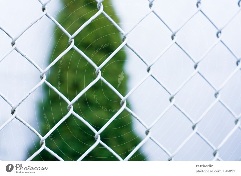 Zaun April Erholung Garten Gartenbau Schrebergarten Kleingartenkolonie laubenpieper Erholungsgebiet Wachstum Maschendrahtzaun Nachbar Grenze Grundstück Pflanze