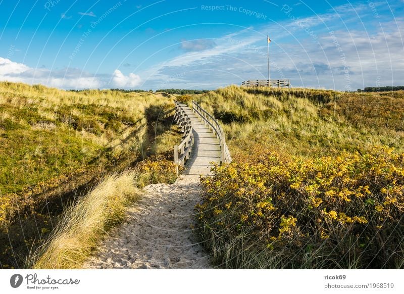 Landschaft in den Dünen auf der Insel Amrum Erholung Ferien & Urlaub & Reisen Tourismus Natur Wolken Herbst Baum Sträucher Küste Nordsee Brücke Wege & Pfade