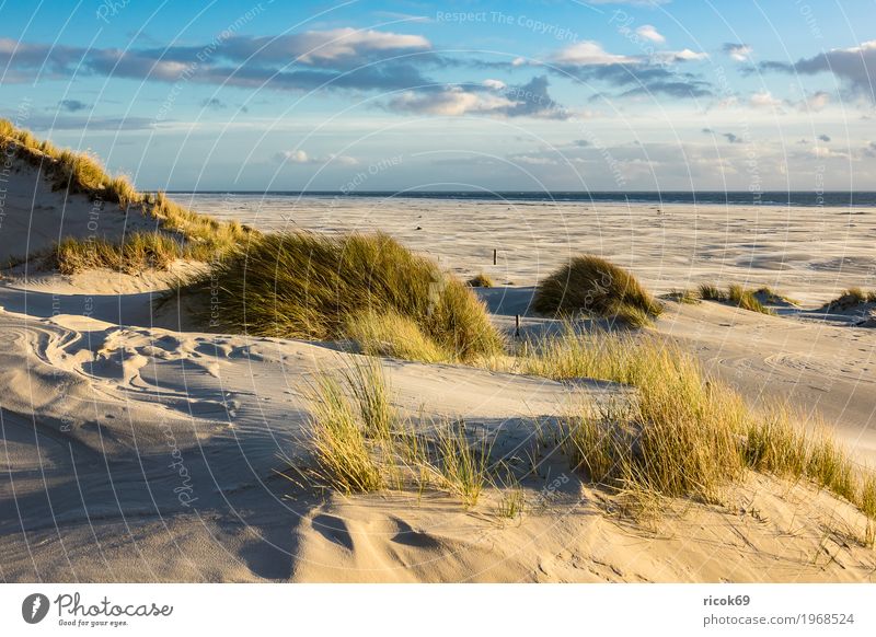 Landschaft mit Dünen auf der Insel Amrum Erholung Ferien & Urlaub & Reisen Tourismus Strand Meer Natur Sand Wolken Herbst Küste Nordsee blau gelb