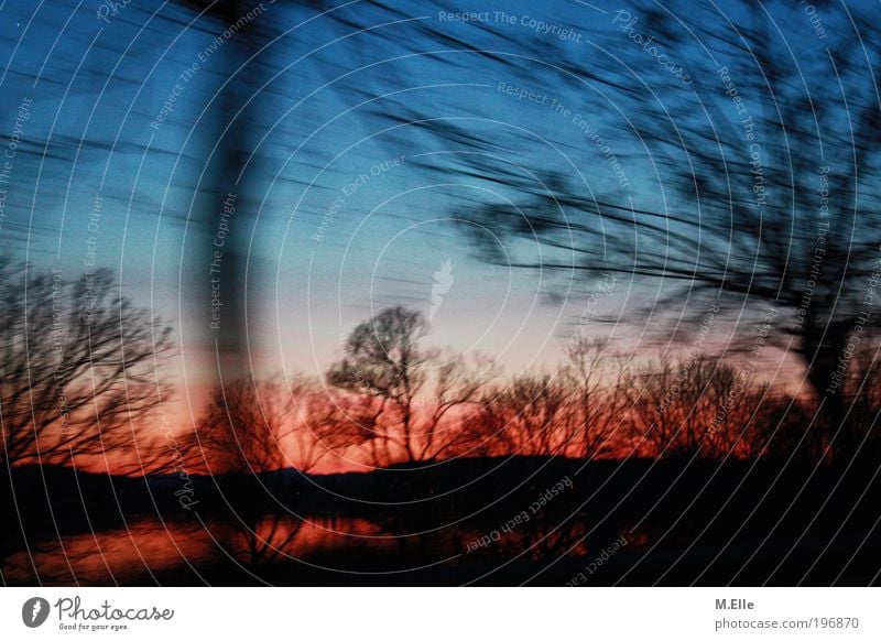 Der Sonne Hinterher. Natur Wasser Himmel Sonnenaufgang Sonnenuntergang See ästhetisch außergewöhnlich frei glänzend natürlich schön Wärme blau rot Stimmung