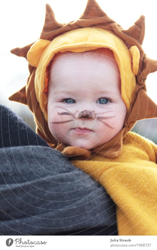 Babylöwe Freude Karneval feminin Kindheit Kopf 1 Mensch 0-12 Monate Zirkus Zoo Wildtier Tiergesicht Fell Löwe Blick Coolness lustig schön braun gelb Schnurren