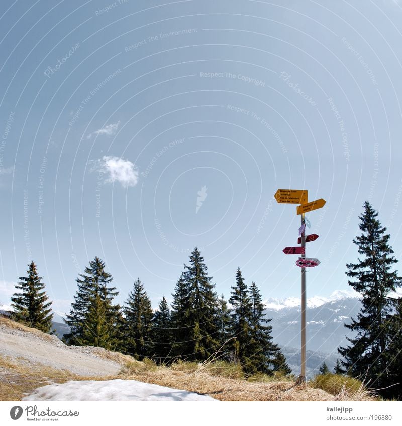 highway to heaven Freizeit & Hobby Natur Himmel Horizont Schönes Wetter Alpen Berge u. Gebirge Schneebedeckte Gipfel Schilder & Markierungen Hinweisschild