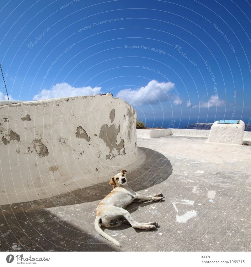 zammgebrochen | Hitzschlag Himmel Wolken Sommer Schönes Wetter Wellen Küste Meer Ägäis Mittelmeer Insel Kykladen Santorin Caldera Thira Griechenland Dorf