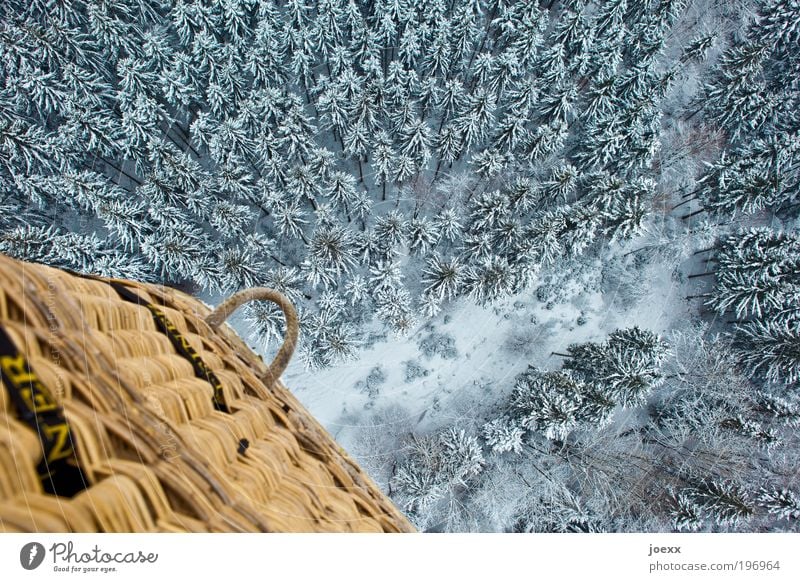 500 Bäume Natur Winter Schnee Baum Wald frei kalt oben unten ruhig Abenteuer Umwelt Vogelperspektive Korb Ballonkorb abwärts Farbfoto Außenaufnahme Luftaufnahme