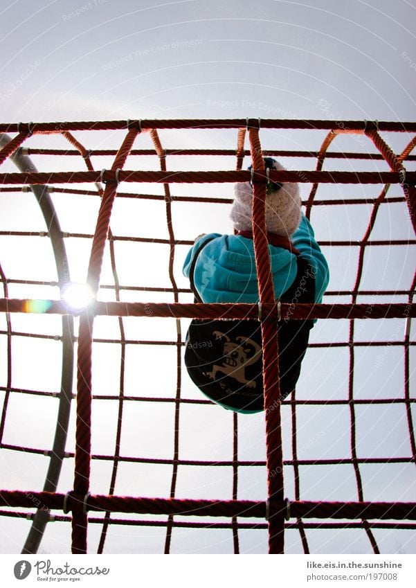 spinne im netz Spielen Klettern Kletterseil Wolkenloser Himmel Sonne Schönes Wetter Spielplatz Mütze Netz Seil hoch rot Kraft mehrfarbig Sonnenlicht Gegenlicht