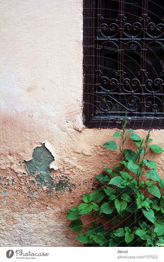 Zeiten ändern dich! Wohnung Haus Mauer Wand Fassade Fenster Verfall Vergänglichkeit Farbfoto Außenaufnahme Textfreiraum links Textfreiraum oben Tag