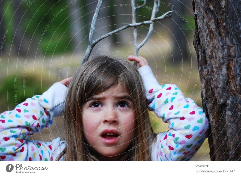 Jungtier Spielen Jagd Ausflug Expedition Kind Mädchen Kindheit 1 Mensch 3-8 Jahre Natur Baum Wildtier "hirsch,geweih" Holz frech frei natürlich braun weiß