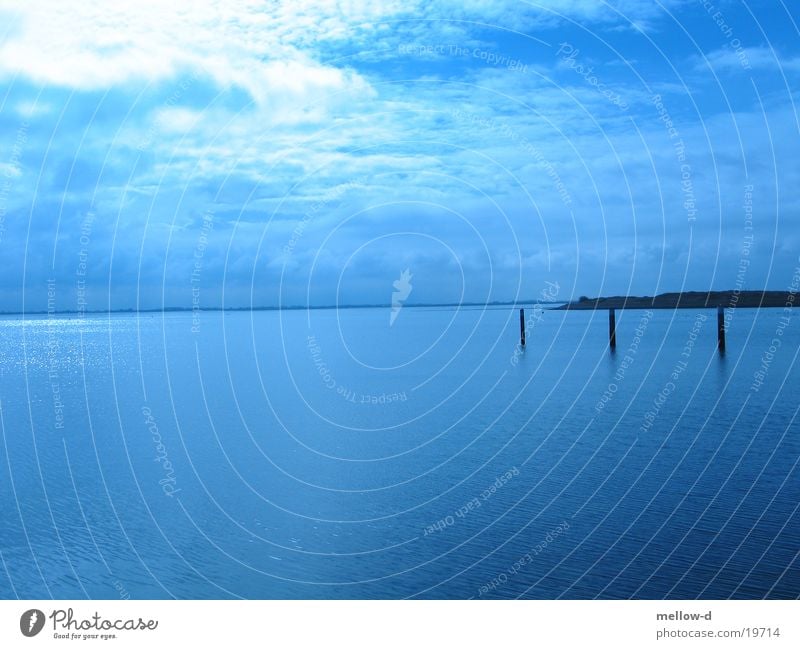 Deep blue sea Meer Aussicht Niederlande blau Himmel ruhig