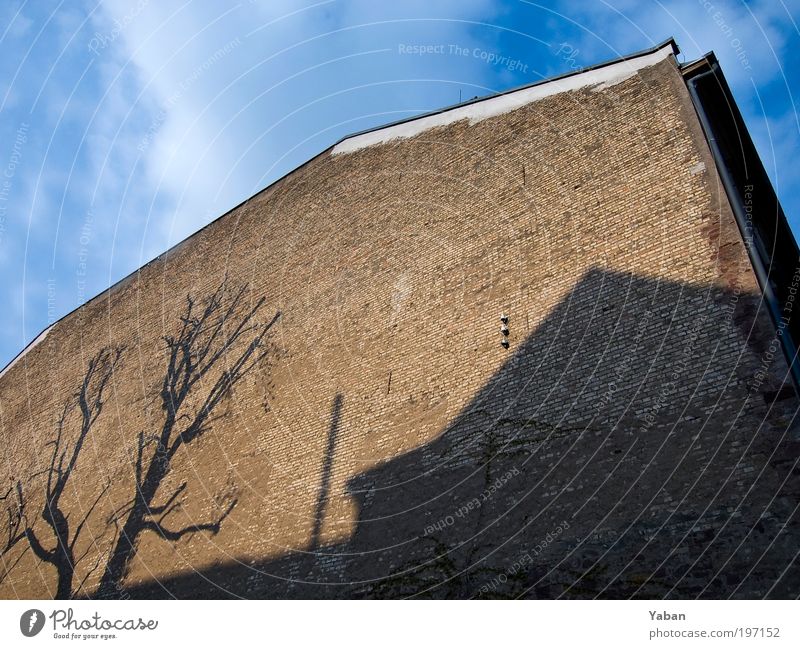 Shadow on the wall Menschenleer Haus Bauwerk Gebäude Architektur Mauer Wand blau braun Farbfoto Außenaufnahme Tag Licht Schatten Silhouette