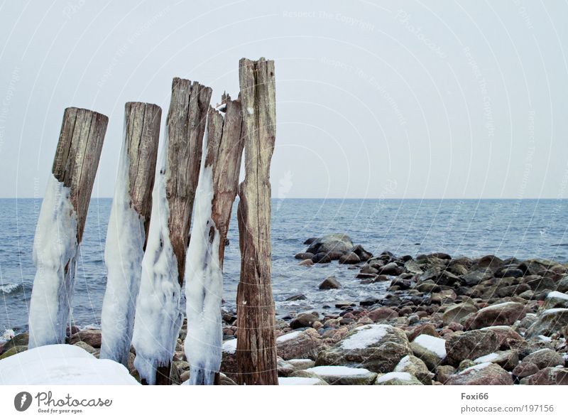 Standhaftigkeit Ferne Freiheit Strand Meer Winter Natur Urelemente Klima Wind Sturm Regen Eis Frost Schnee Küste alt entdecken stehen dehydrieren ästhetisch