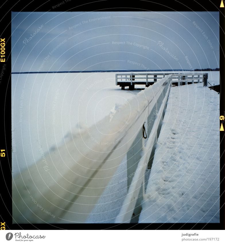 Winter am Bodden Umwelt Natur Landschaft Himmel Klima Schnee Küste Menschenleer Hafen kalt ruhig Steg Vorpommersche Boddenlandschaft Eis Darß Anlegestelle