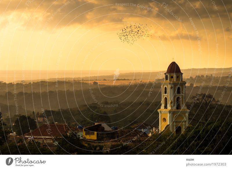 Bestimmung Natur Landschaft Himmel Wärme Kirche Platz Bauwerk Gebäude Sehenswürdigkeit Wahrzeichen Vogel Schwarm fantastisch historisch Gefühle Stimmung