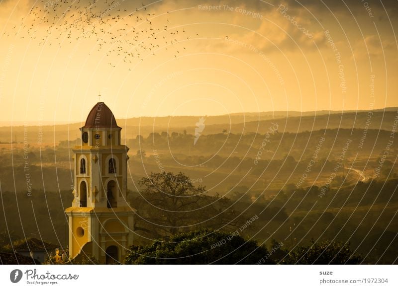 Lebensabend Ferien & Urlaub & Reisen Städtereise Natur Landschaft Himmel Stadtrand Kirche Platz Bauwerk Gebäude Sehenswürdigkeit Wahrzeichen Vogel Schwarm