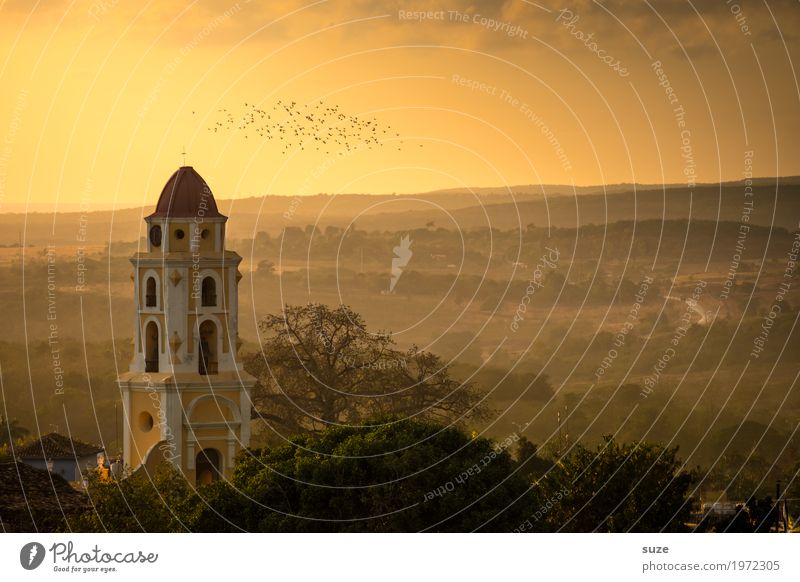 Himmelsboten Ferien & Urlaub & Reisen Natur Landschaft Stadtrand Kirche Platz Bauwerk Gebäude Sehenswürdigkeit Wahrzeichen Vogel Schwarm fantastisch historisch