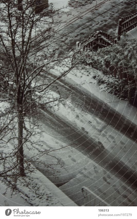 Fotonummer 153667 Umwelt Natur Landschaft Schnee Pflanze Baum Park Gefühle Schneefall Einfahrt Stadt Spuren Fußweg Farbfoto Außenaufnahme