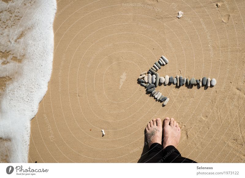 Komm, wir gehen baden Wohlgefühl Zufriedenheit Sinnesorgane Erholung ruhig Ferien & Urlaub & Reisen Ausflug Abenteuer Ferne Freiheit Sommer Sommerurlaub Strand