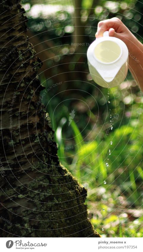 Der Natur was Gutes tun. Pflanze Wasser Wassertropfen Sonne Klima Klimawandel Schönes Wetter Baum Sträucher Garten Wald Tropfen Frühlingsgefühle Vorfreude