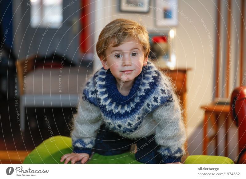 frech Freude Spielen Wohnung Kindererziehung Junge Familie & Verwandtschaft Stadt Gefühle Abenteuer laufen toben Pullover Strickpullover blond niedlich Farbfoto