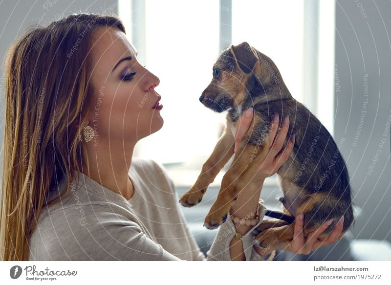 Junge Frau, die ihren Welpen hält Jugendliche Tier Haustier Hund klein niedlich weiß Geborgenheit loyal Textfreiraum Kuscheln Auge Halt Farbfoto Innenaufnahme