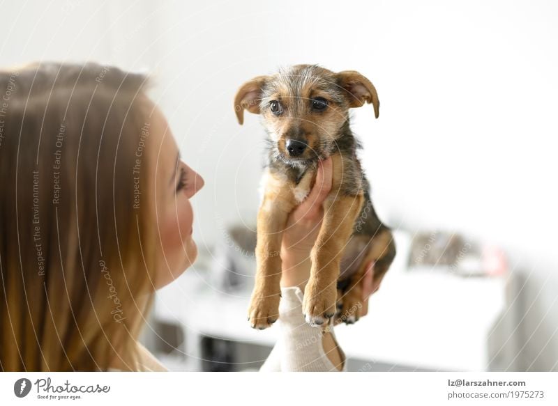 Junge Frau, die ihren Welpen hält Jugendliche Tier Haustier Hund klein niedlich weiß Geborgenheit loyal Textfreiraum Kuscheln Auge Halt Farbfoto Innenaufnahme