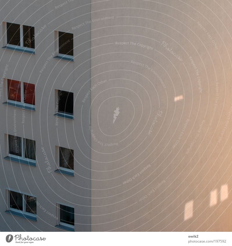 Heimleuchten Häusliches Leben Haus Stadt Stadtrand bevölkert Bauwerk Gebäude Architektur Mauer Wand Fassade Fenster Plattenbau Sozialismus Wohnungsbauprogramm