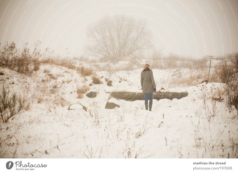 SHE WALKS AWAY Mensch Umwelt Natur Landschaft Himmel Horizont Winter schlechtes Wetter Nebel Eis Frost Schnee Pflanze Baum Sträucher Wiese Feld Bewegung Denken