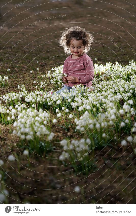 Emma mit Schnneeglöckchen Kind Kleinkind Mädchen 1 Mensch 3-8 Jahre Kindheit Umwelt Natur Landschaft Pflanze Frühling Gras Grünpflanze Garten Park Wiese