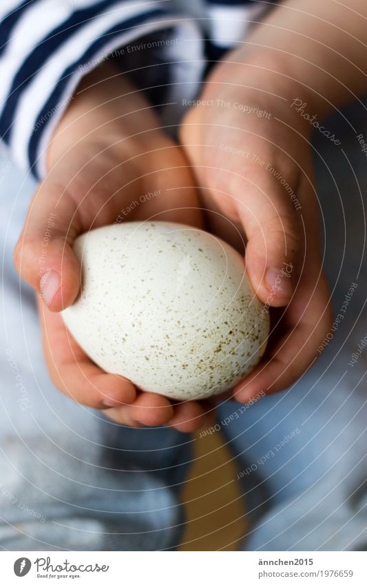 Ostern Ei Hand Kind Feste & Feiern Jahreszeiten festhalten Gesunde Ernährung Speise Essen Foodfotografie Lebensmittel weiß blau Jeanshose Mitte Innenaufnahme