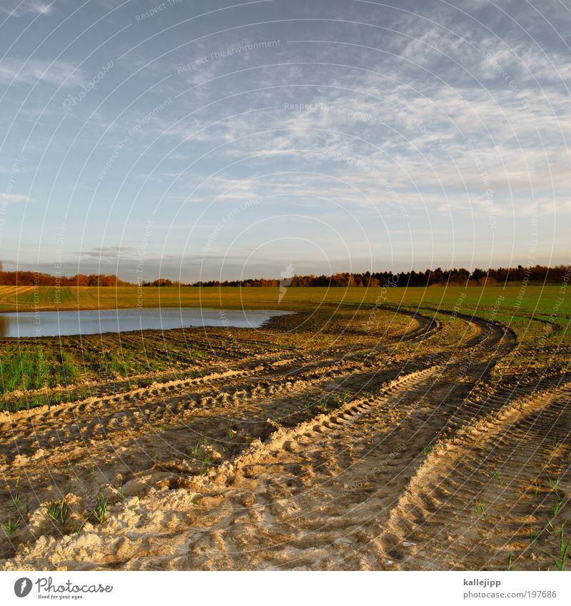 baggersee Arbeit & Erwerbstätigkeit Beruf Wirtschaft Umwelt Natur Landschaft Pflanze Tier Urelemente Erde Wasser Klima Schönes Wetter Nutzpflanze Feld Moor