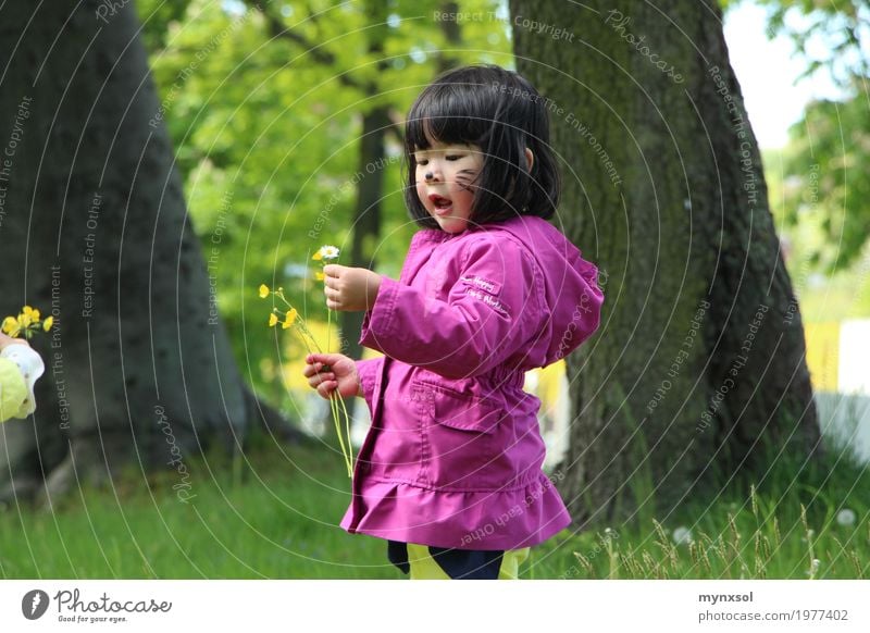 Kindheit Mensch feminin Kleinkind 1 1-3 Jahre 3-8 Jahre Umwelt Natur Landschaft Pflanze Frühling Sommer Schönes Wetter Baum Blume Gras Blatt Blüte Garten Park