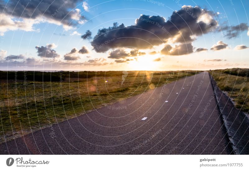 Ziele und Wege Umwelt Natur Landschaft Himmel Wolken Horizont Sonnenaufgang Sonnenuntergang Sonnenlicht Frühling Sommer Wetter Schönes Wetter Feld Zufriedenheit