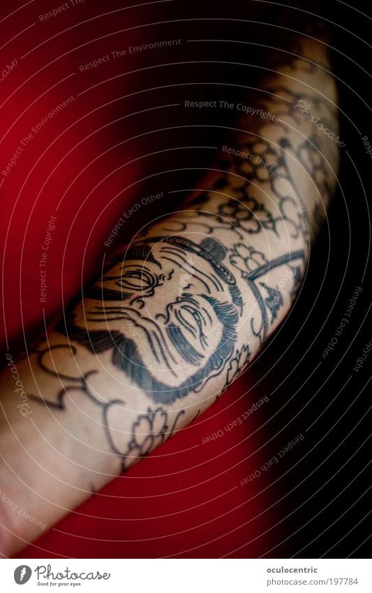 Twoface Mensch maskulin Junger Mann Jugendliche Haut Arme 1 18-30 Jahre Erwachsene Originalität rot schwarz Willensstärke Mut Leidenschaft Tattoo sleeve robcore