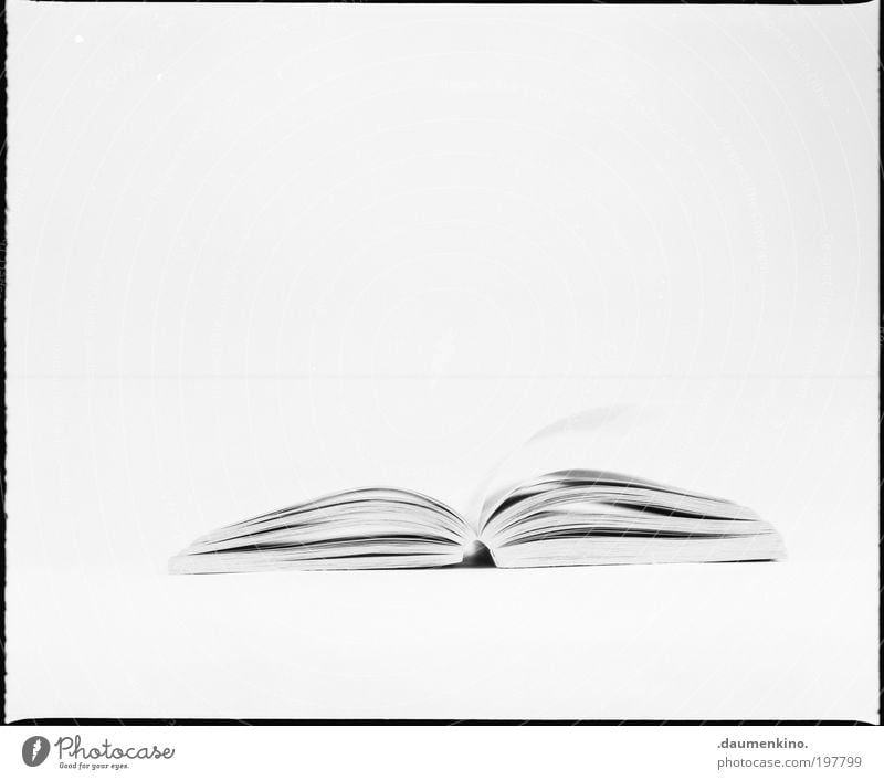 - - Papier Zettel ästhetisch Schwarzweißfoto Studioaufnahme Kunstlicht High Key Zentralperspektive Notizbuch Freisteller Textfreiraum oben Textfreiraum Mitte