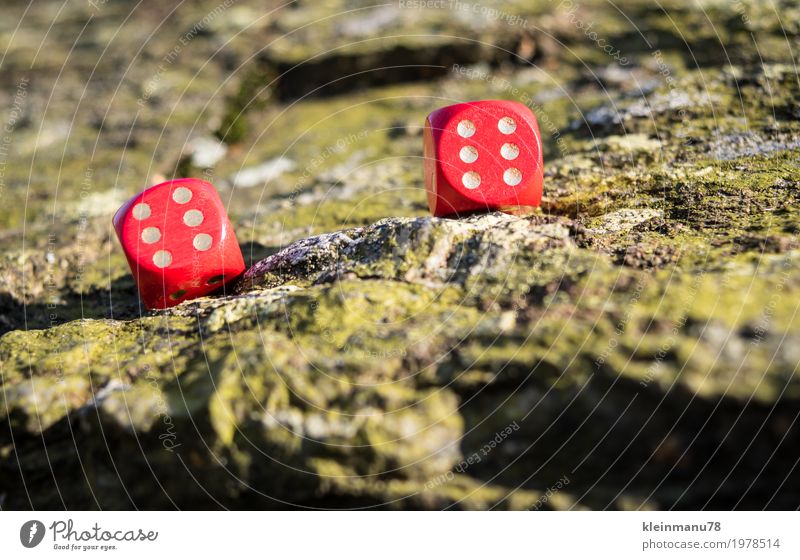 Pasch Glück harmonisch Spielen Kunst Natur Sonne Sonnenlicht Frühling Schönes Wetter Souvenir Stein Holz Zeichen liegen träumen werfen außergewöhnlich