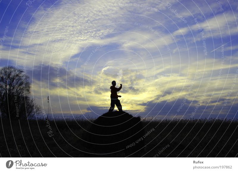 Himmelsstürmer elegant Klettern Turnen Mensch 1 Natur Wolken Sonnenaufgang Sonnenuntergang außergewöhnlich blau gelb schwarz weiß Freude Glück Fröhlichkeit