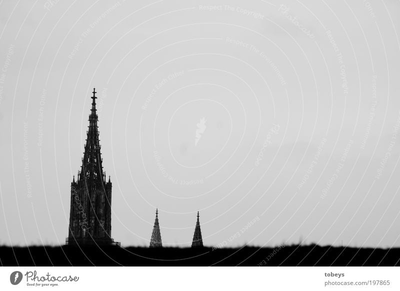 Münster Stadt Kirche Dom Bauwerk alt Ulm Turm Hügel Horizont Religion & Glaube Gotteshäuser Zufluchtsort Denken Spitze Turmspitze Schwarzweißfoto Außenaufnahme