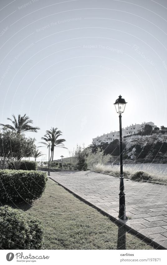 Wenn Laternen Schatten spenden Landschaft Wolkenloser Himmel Sonne Sommer Schönes Wetter Wärme Palme Hecke Felsen Strand Bucht Haus Wege & Pfade glänzend