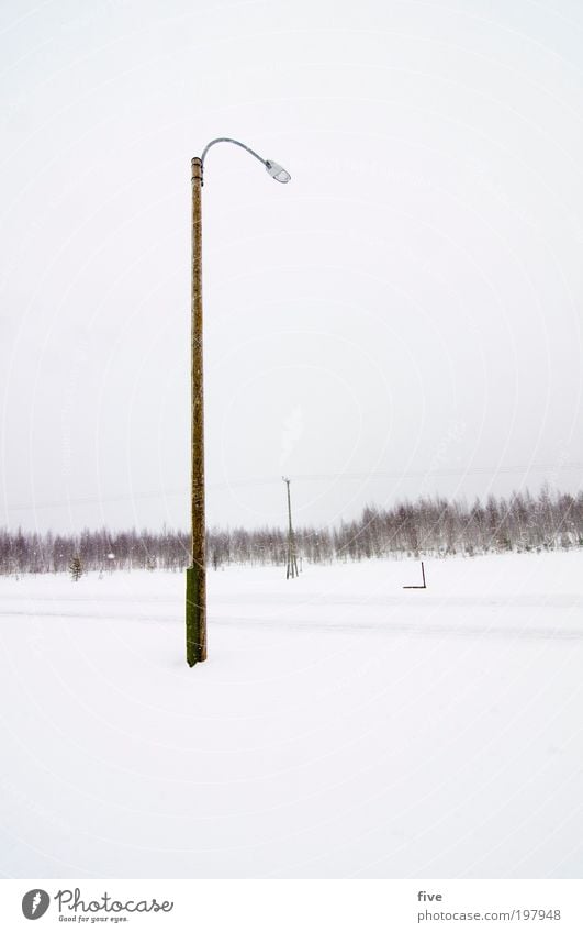 luosto XIII Ferien & Urlaub & Reisen Ausflug Ferne Freiheit Winter Schnee Winterurlaub Himmel Wolken Pflanze Baum Grünpflanze Straße Wege & Pfade