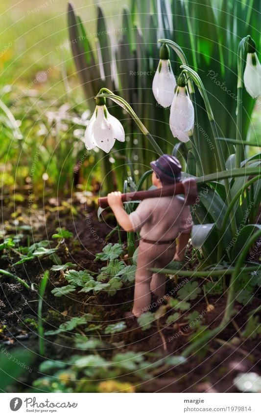 Miniwelten - Diese nehme ich! Beruf Handwerker Gartenarbeit Landwirtschaft Forstwirtschaft Mensch maskulin Mann Erwachsene 1 Natur Pflanze Blume Gras Sträucher