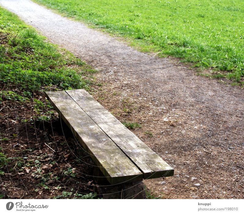 Pause machen? harmonisch Wohlgefühl Erholung ruhig Ausflug Garten Bank Ruhestand Feierabend Umwelt Natur Landschaft Erde Sonnenlicht Frühling Sommer