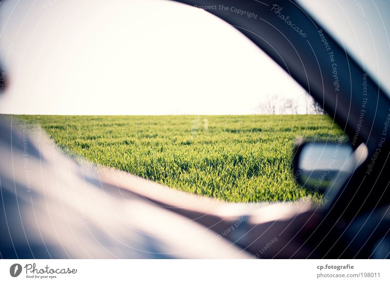 Foto Tour Safari maskulin Mann Erwachsene Arme Bauch Natur Pflanze Sonne Schönes Wetter Gras Verkehrsmittel Straßenverkehr Autofahren Fahrzeug PKW Seitenspiegel