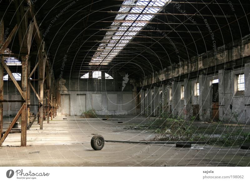 dem untergang geweiht [LUsertreffen 04|10] Pflanze Wildpflanze Industrieanlage Fabrik Ruine Bauwerk Gebäude Architektur Stein Beton Metall grau Verstrebung