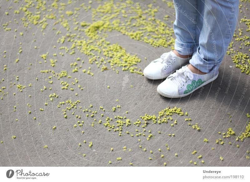 Federpartikel Mensch Mädchen Jugendliche Beine 1 13-18 Jahre Kind Frühling Blüte Jeanshose Turnschuh blau gelb weiß Farbfoto Außenaufnahme Detailaufnahme Tag