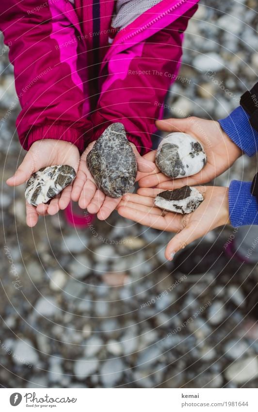 Steinsammlung Leben harmonisch Wohlgefühl Zufriedenheit Freizeit & Hobby Ausflug Abenteuer Mensch Kind Mädchen Junge Hand Finger 2 3-8 Jahre Kindheit Umwelt